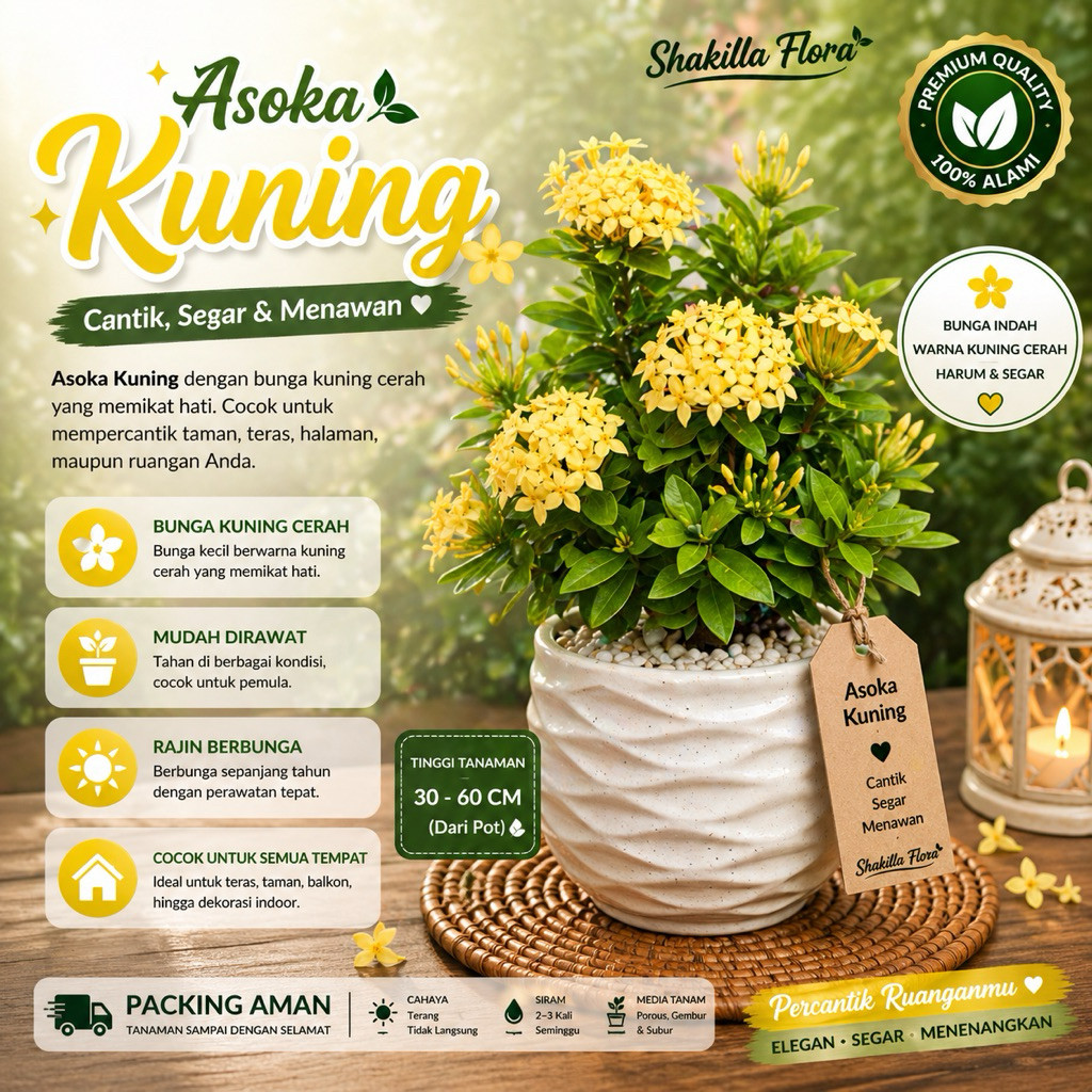 Tanaman Hias Bunga Asoka Bunga Kuning-Asoka Bunga Kuning