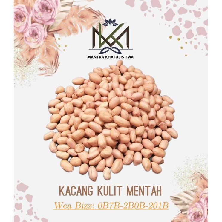 KACANG KULIT MENTAH KACANG TANAH KULIT MENTAH