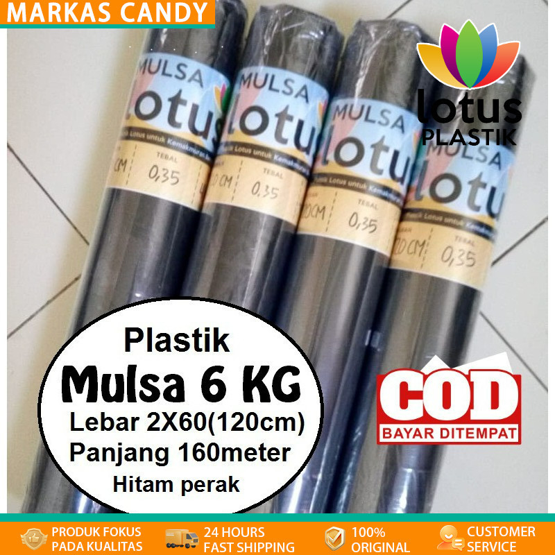 mulsa plastik mulsa pertanian 1 roll plastik hitam perak lebar 120 cm panjang 160 meter cabe tomat b