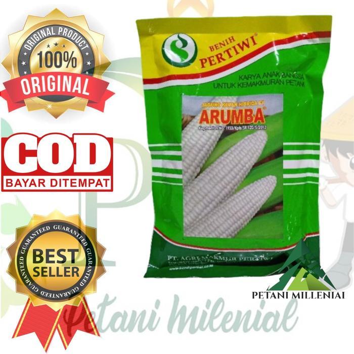 PROMO  Benih jagung pulut Arumba - bibit jagung pulut/putih pertiwi