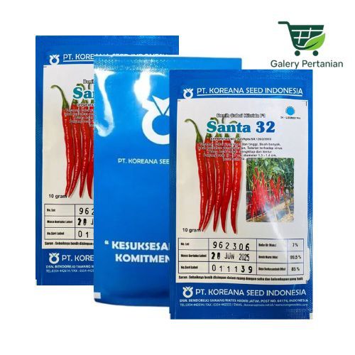 Santa 32 F1 Benih Cabe Hibrida 10gr Asli Koreana Seed