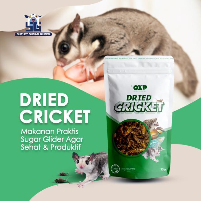 Jangkrik Kering untuk pangan Sugar Glider / Burung - JANGKRIK 35GR