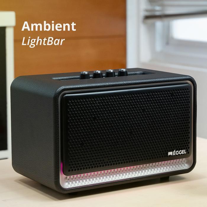 Eggel Home 3 Portable Bluetooth Speaker with Karaoke Function