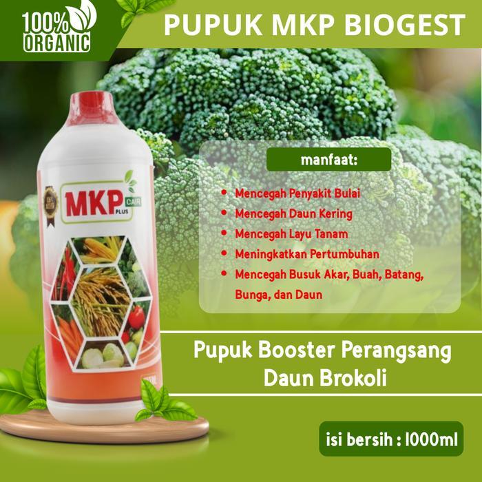 Pupuk MKP Biogest Cair NPK Organik 1000ml Penyubur Akar, Daun & Buah | Pupuk Pelengkap Cair Plus GA3