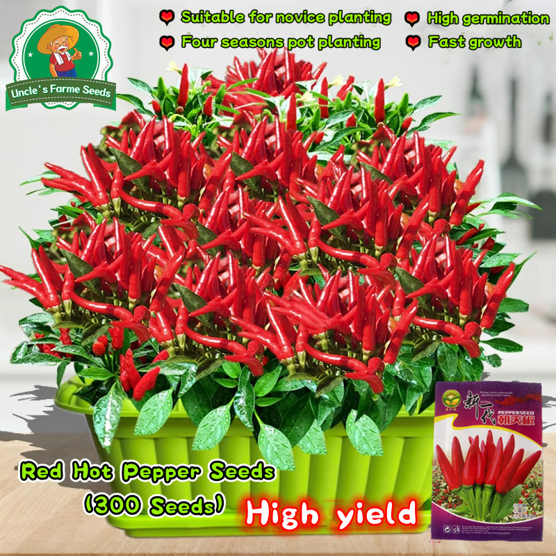 100% Authentic 300pcs Full Seasons Balcony Potted Red Hot Chili Pepper Seeds for Planting Vegetables