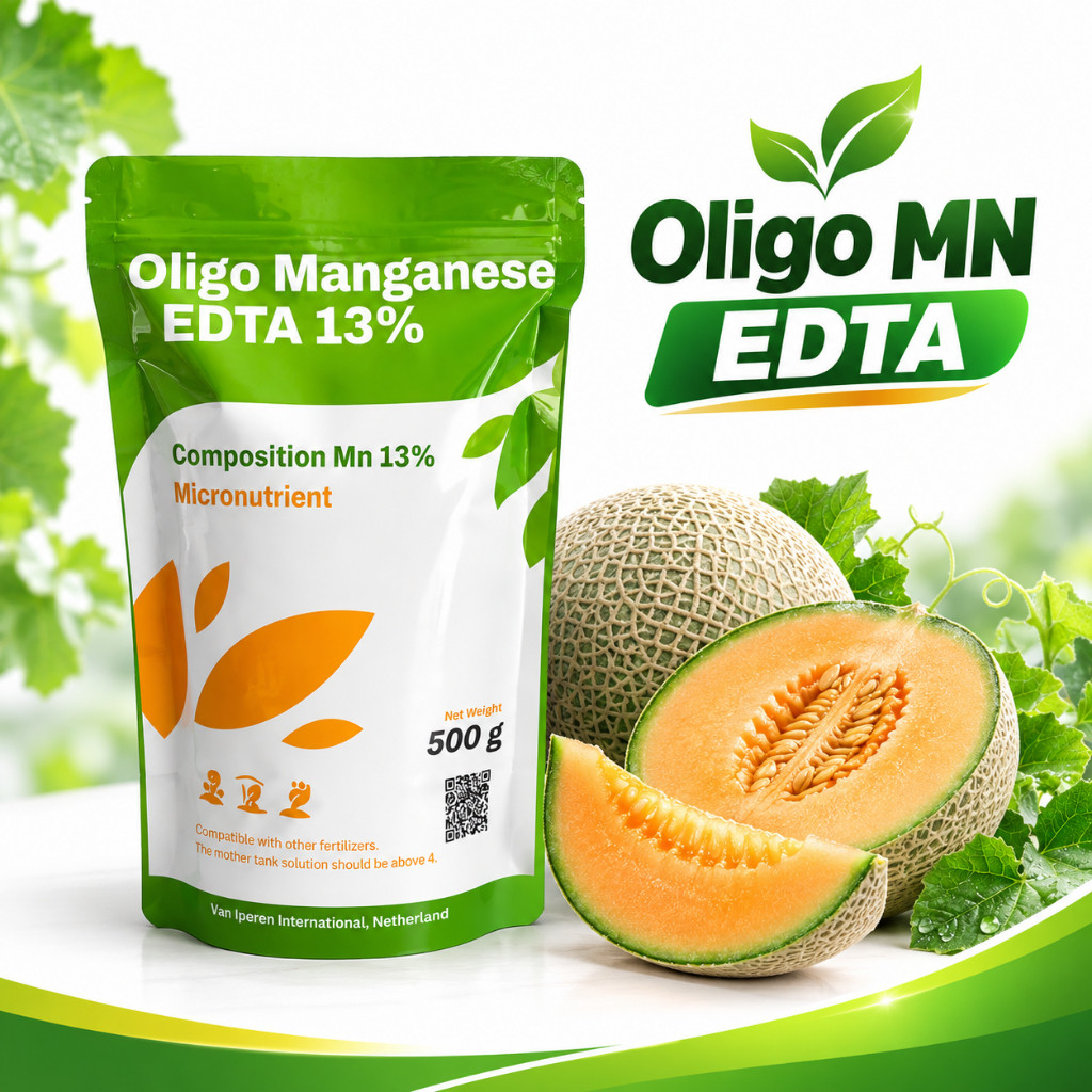 ADA Oligo Mn EDTA 13% – Pupuk Mikro Mangan Chelate EDTA untuk Melon, Cabai, Tomat, Semangka