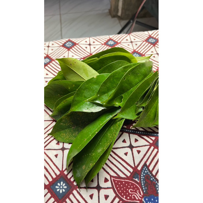 

Promo Daun sirsak 1 ikat 100 lembar