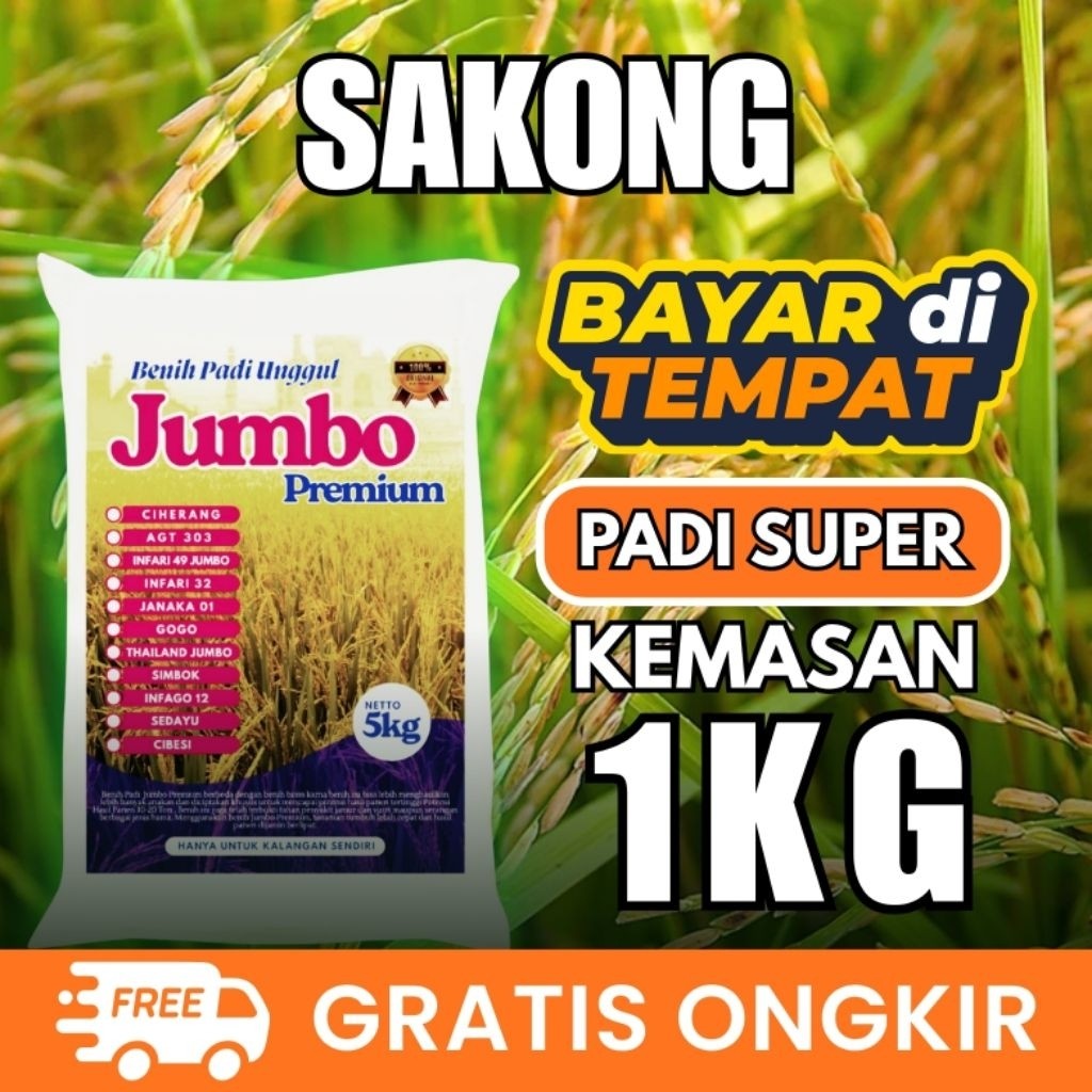 Benih Padi Unggul Sakong 1kg