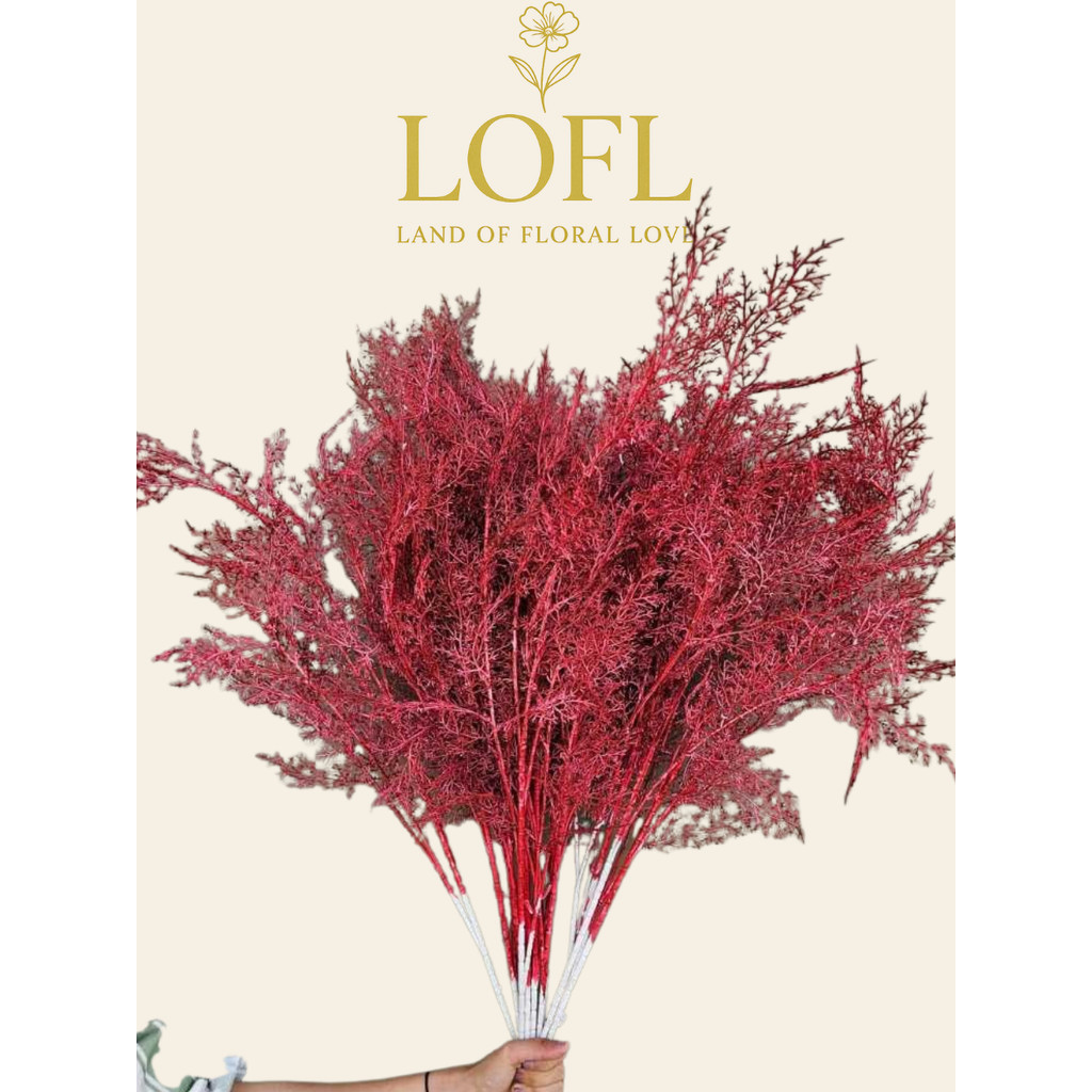 Daun Cemara Asparagus Tangkai Panjang/ Artificial Smoke Bush