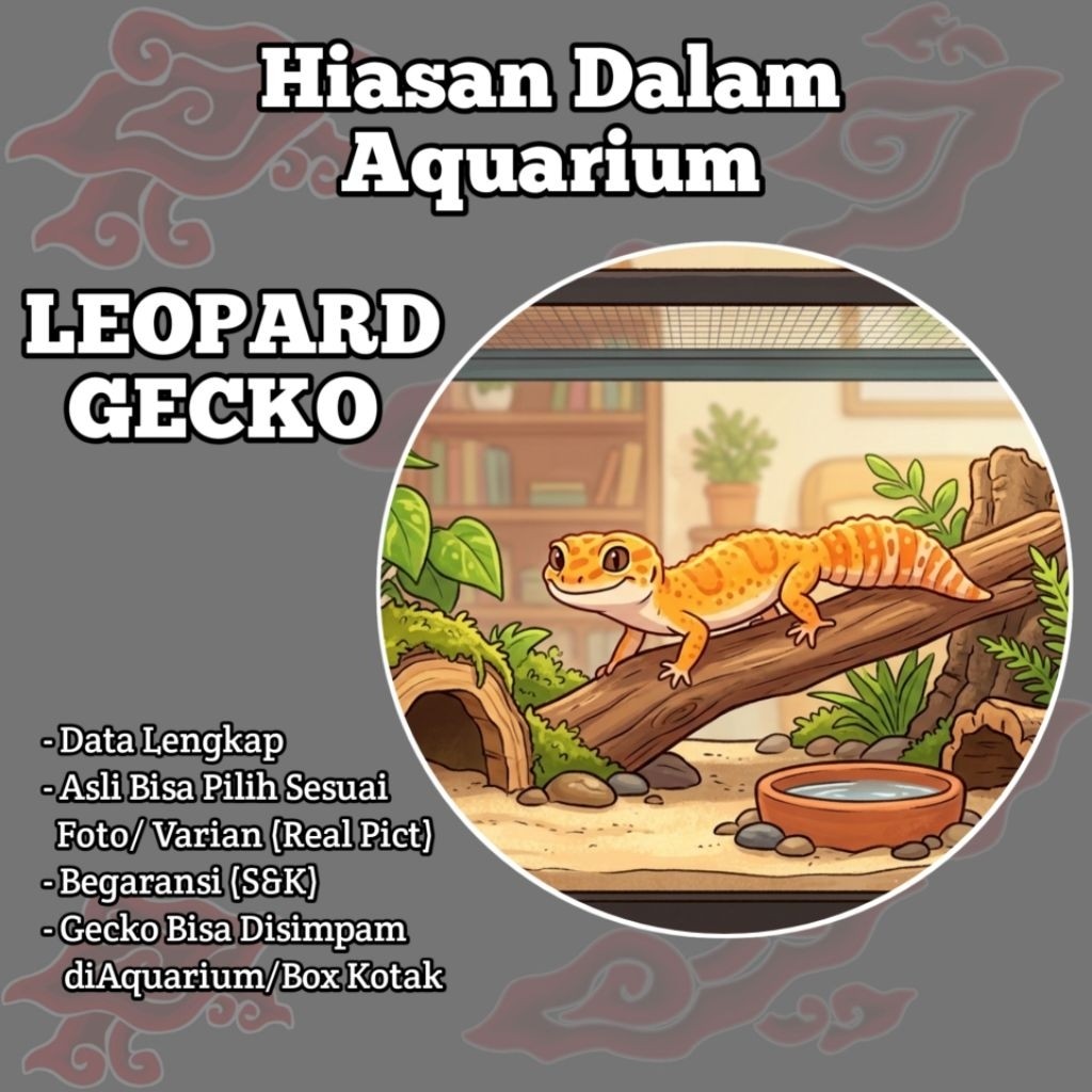 SEKAMBANGAN Hiasan Aquarium Motif Gecko, Leopard, Pied, Super Snow, Dll Bisa Pilih Sesuai Varian