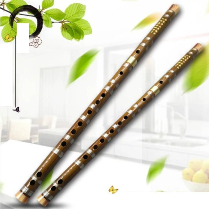 Dizi Pro Silver C D Impor China Suling Profesional Seruling Tiongkok - Silver - D