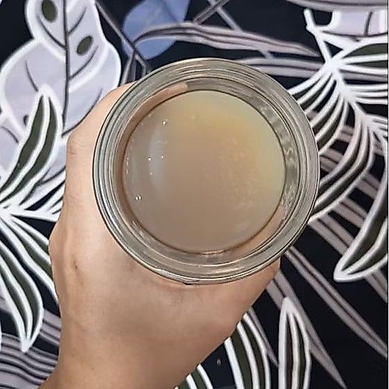 KOMBUCHA FRESH 8CM