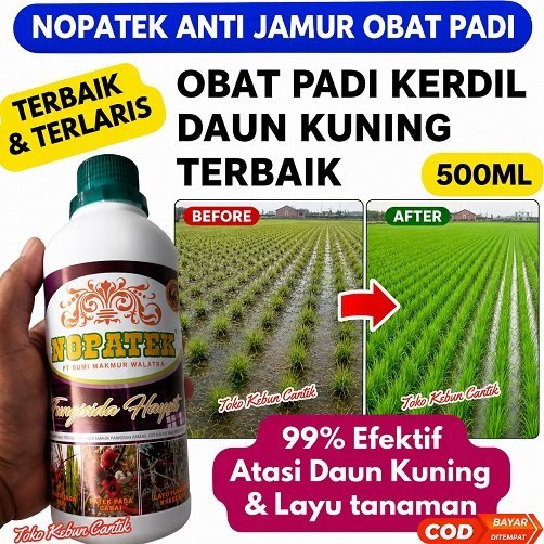 NOPATEK Obat Padi Terbaik | Atasi Daun Kuning, Virus Kuning & Padi Kerdil | Fungisida Padi Ampuh
