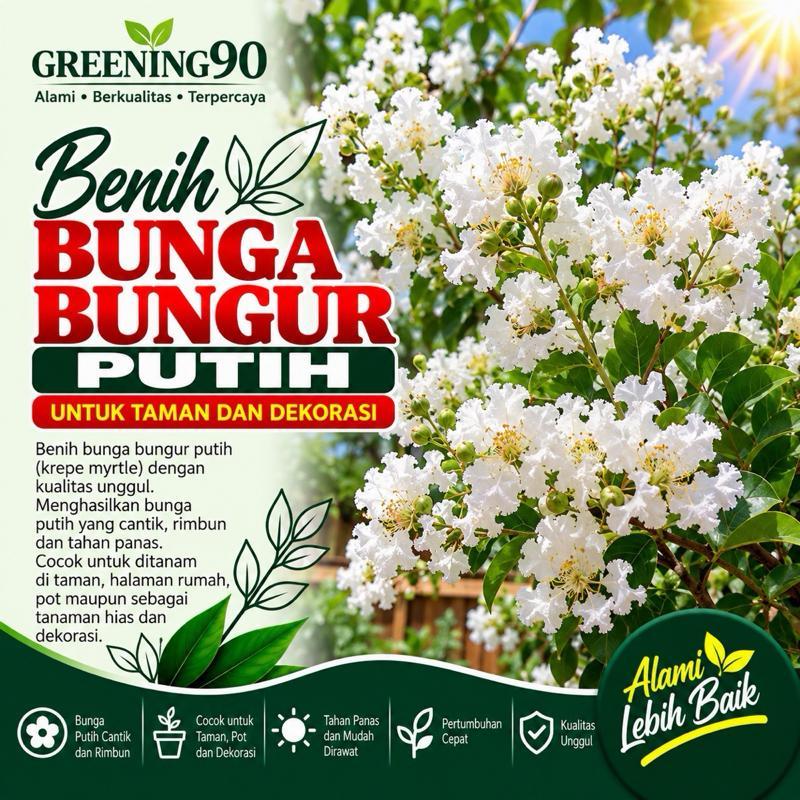 20 Benih Biji Bunga Bungur Putih untuk Taman dan Dekorasi