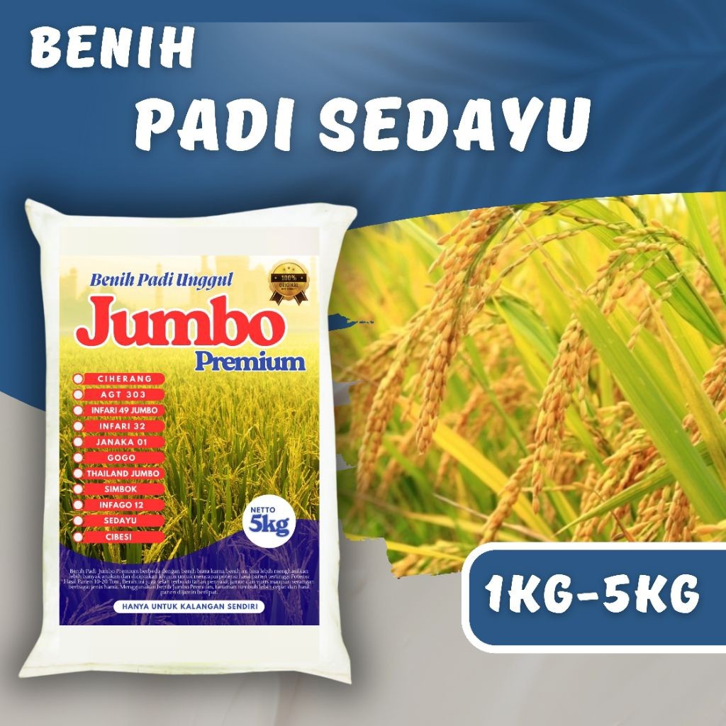 BENIH PADI SEDAYU PREMIUM Kemasan 1kg - 5kg Benih Padi Sedayu Berkualitas Super