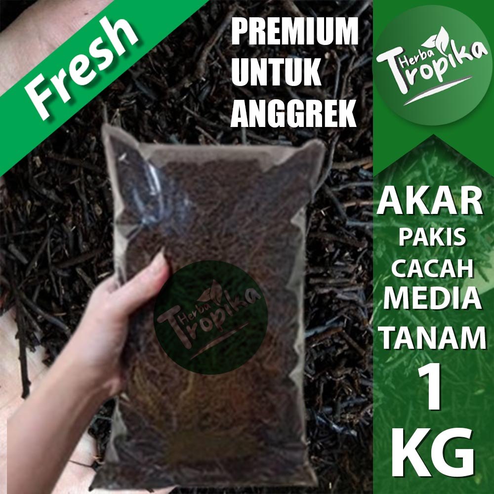Media Tanam Organik Pakis Cacah Untuk tanaman anggrek dan bunga 1 kg toko herba tropika