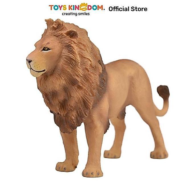 Toys Kingdom Collecta Figure African Lion 88782 Figur Miniatur Karakter Mainan Koleksi Collectible F