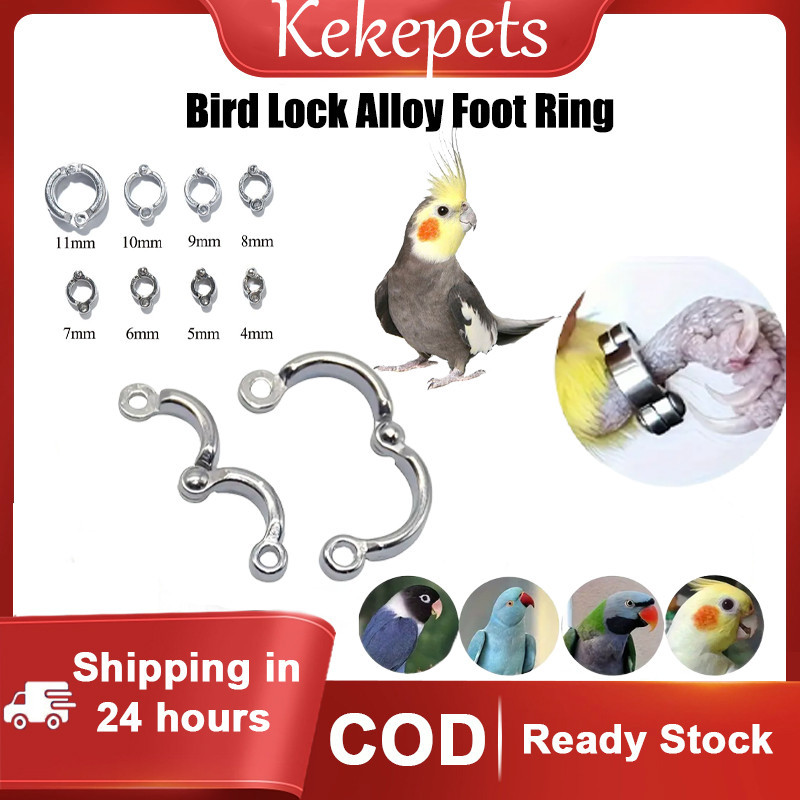 Ring Borgol Kaki Burung Stainless Tahan Karat Cocok untuk Parrot, Lovebird, dan Burung Hias