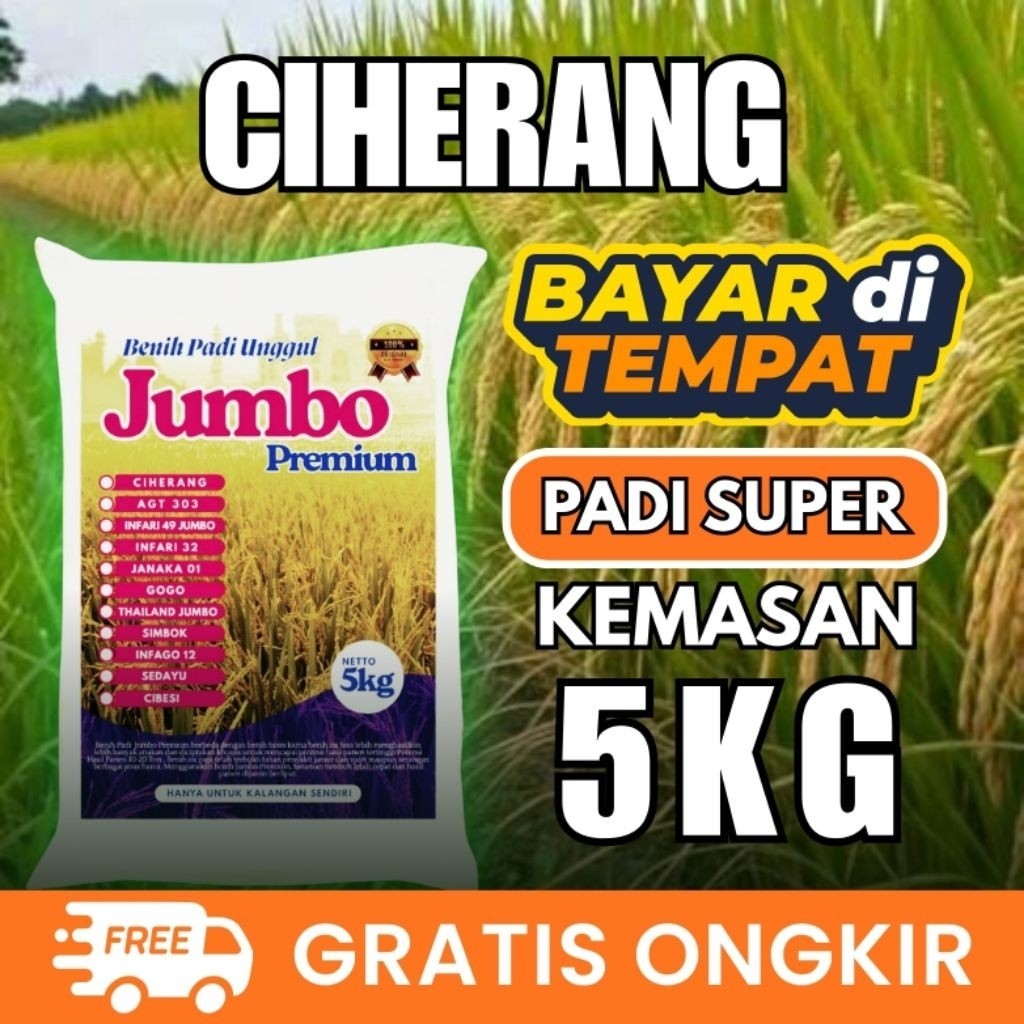 SANGHIANG SRI - Benih Padi Ciherang Unggul Berkualitas Anti Hama Anti Roboh Anakan banyak Buah Lebat