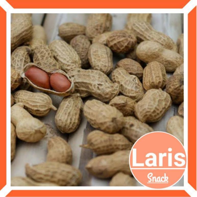1 KG KACANG KULIT PANGGANG / KACANG TANAH KULIT SANGRAI KILOAN KACANG OVEN