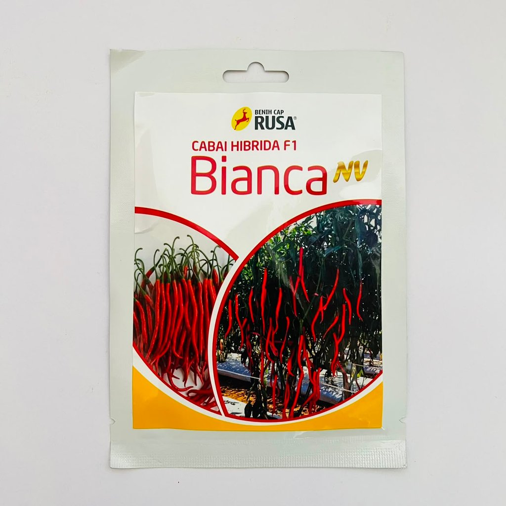 Benih cabai keriting dataran menengah tinggi hibrida BIANCA NV isi 10gr dari CAP RUSA