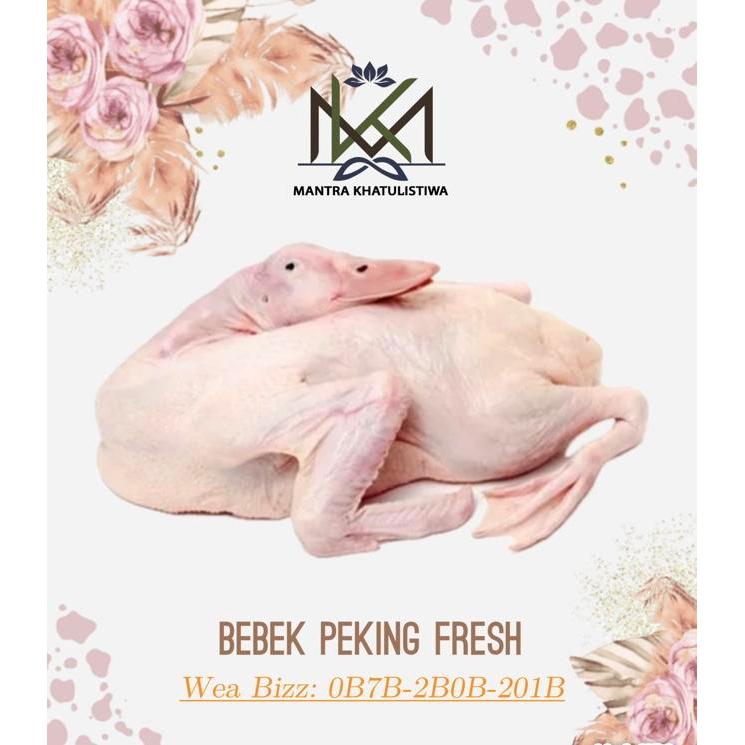 BEBEK PEKING FRESH BUKAN FROZEN BEBEK PEKING UTUH BERSIH Daging