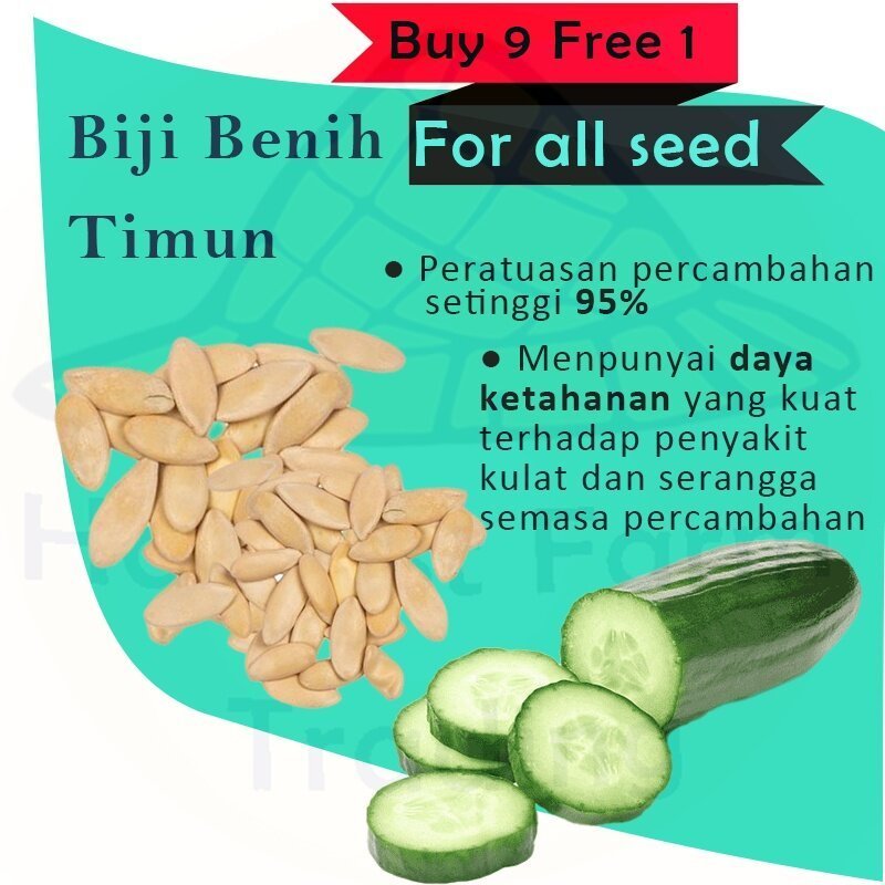 Biji Benih Timun Hijau 30 Biji Vegetable Seed Cucumber  Cucumber
