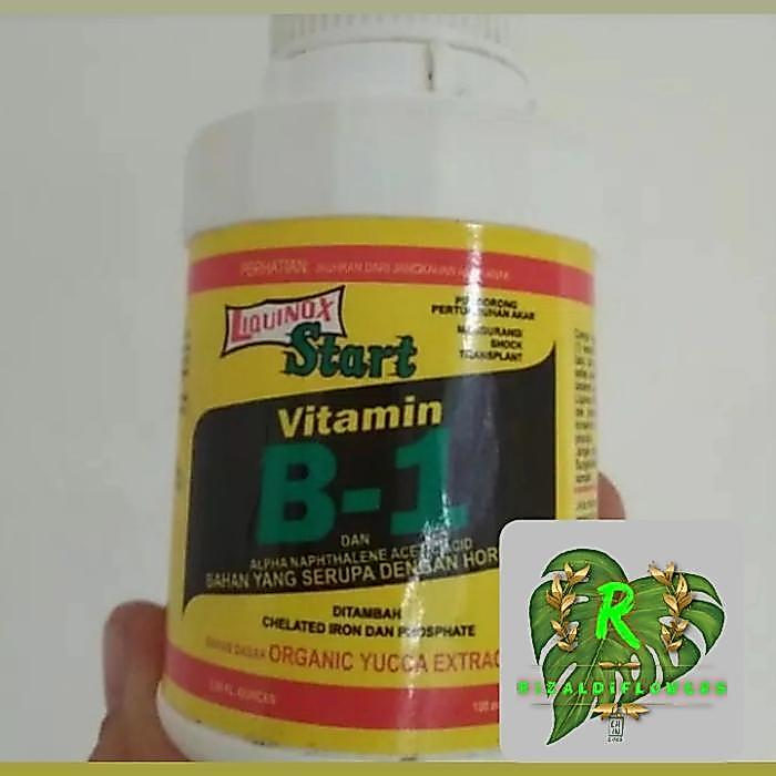 vitamin b1 tanaman untuk perpindahan tanaman