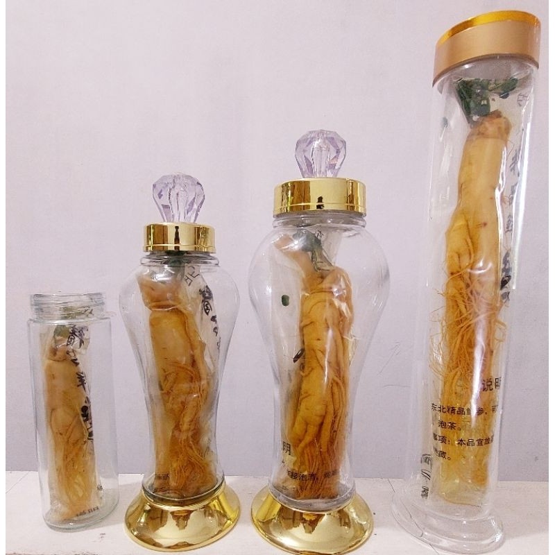 gingseng besar + botol cantik