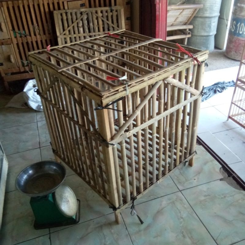 Kandang Rakit Kotak Ayam Jago Bambu Kokoh Murah