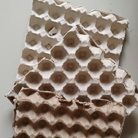 Tray telur bekas / Eggtray karton / Tempat telur | Bisa sebagai tambahan pengaman packaging