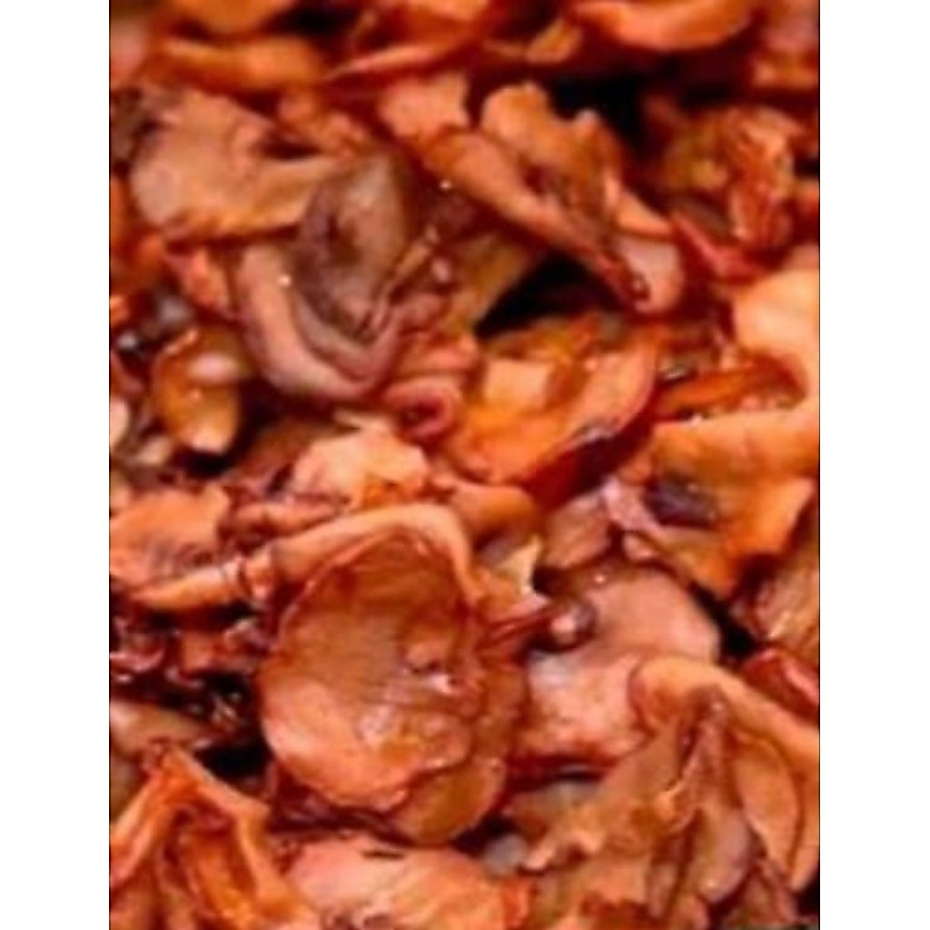 Asam (gelugur)