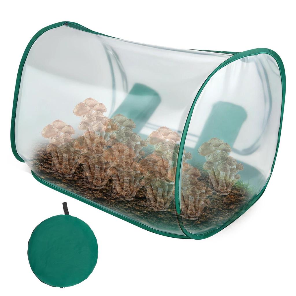 Mushroom Growing Still Air Box, Portable Mushroom Grow Tent Kit With Mushroom Grow Bags, Mycology Fu