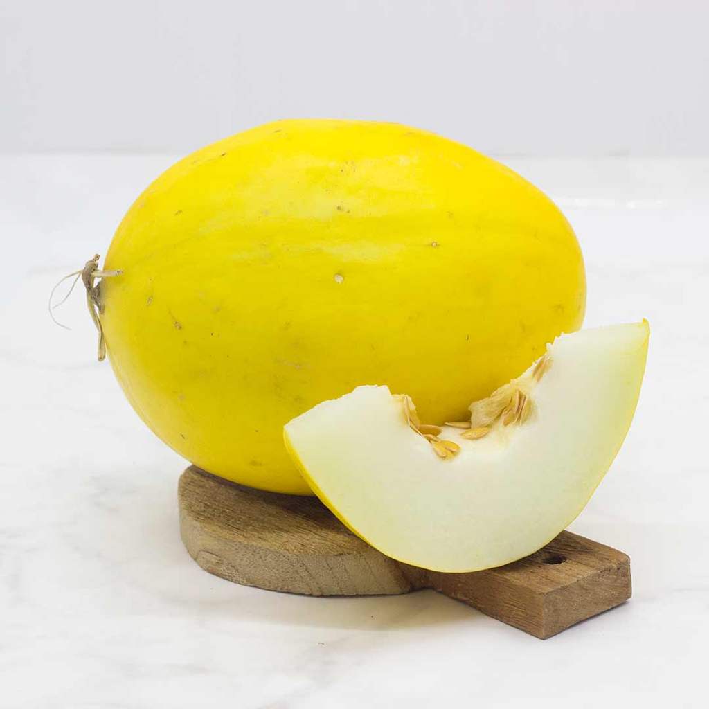 Sunpride Melon Golden Hidroponik Hidroponik Sunpride 1 pcs