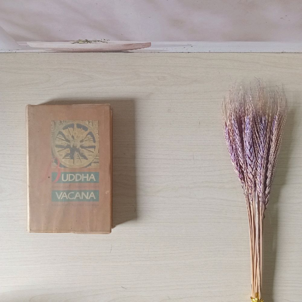 Buddha Vacana - Renungan Harian dari Kitab Suci Agama Budha