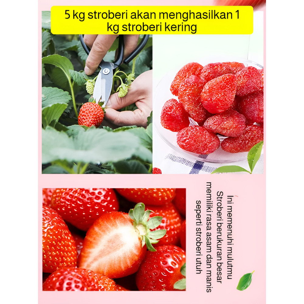 Camilan kantor: Mangga manisan, Stroberi kering