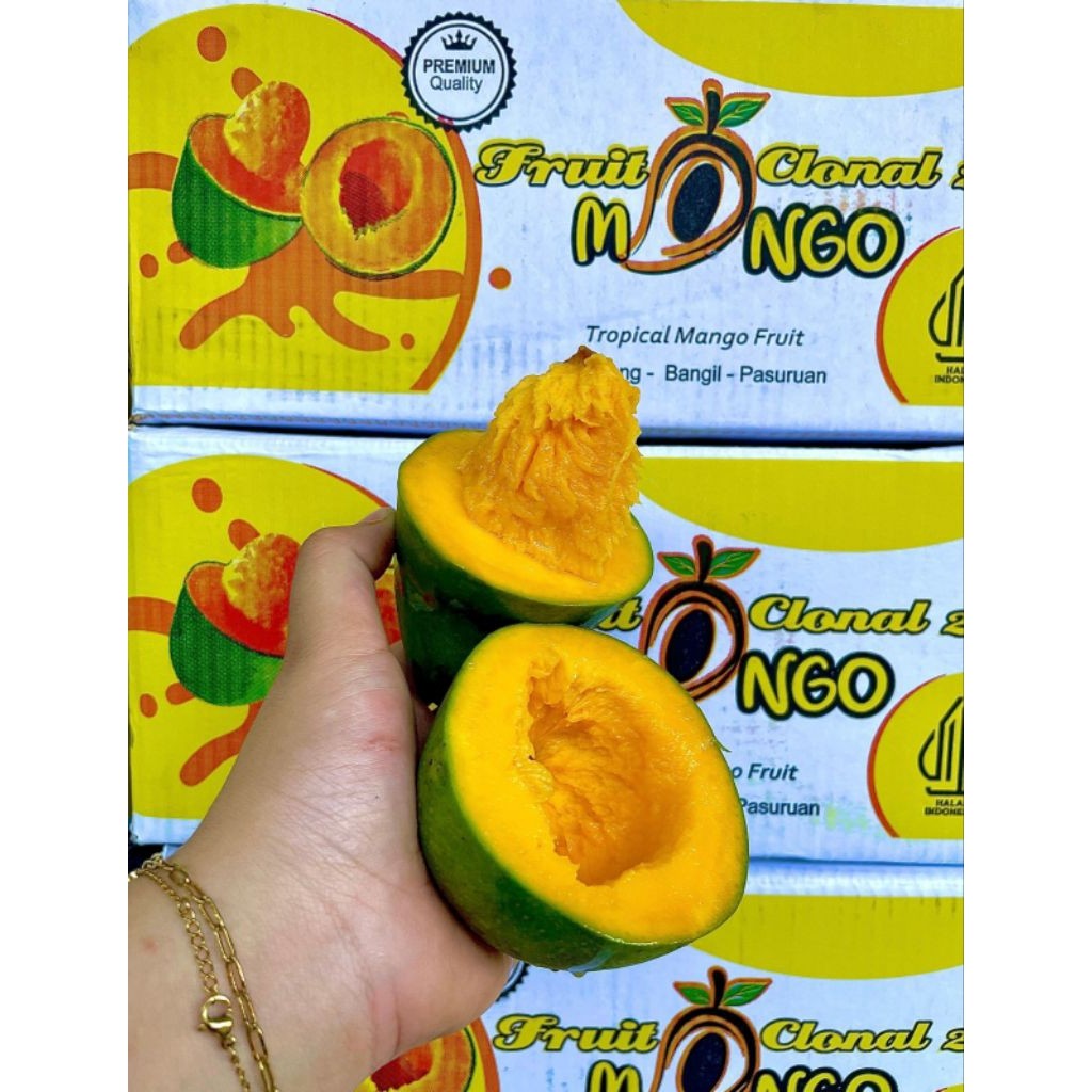 mangga alpukat 1 dus berat 5.5 kg