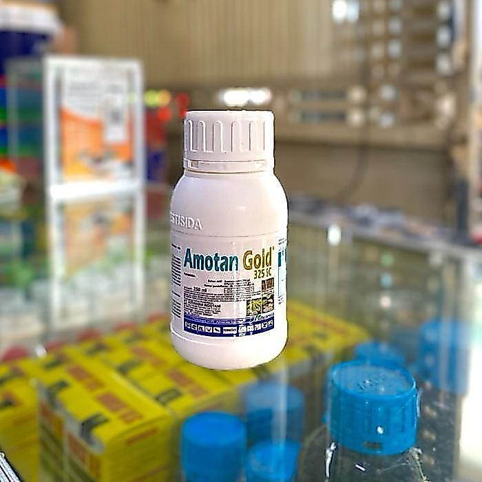 mataharitaman99 Fungisida Sistemik Amotan Gold 325 SC - 250ML - Protektif & Kuratif Azoksistrobin