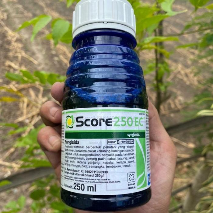 g cc FUNGISIDA - SCORE 250EC - 250 ML - BAHAN AKTIF: DIFENOKONAZOL 250 g/l - Fungisida Pembasmi Peny