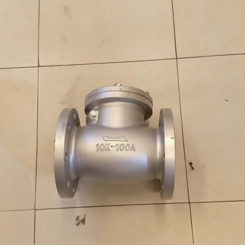 swing check valve 5 inch 10k cast iron