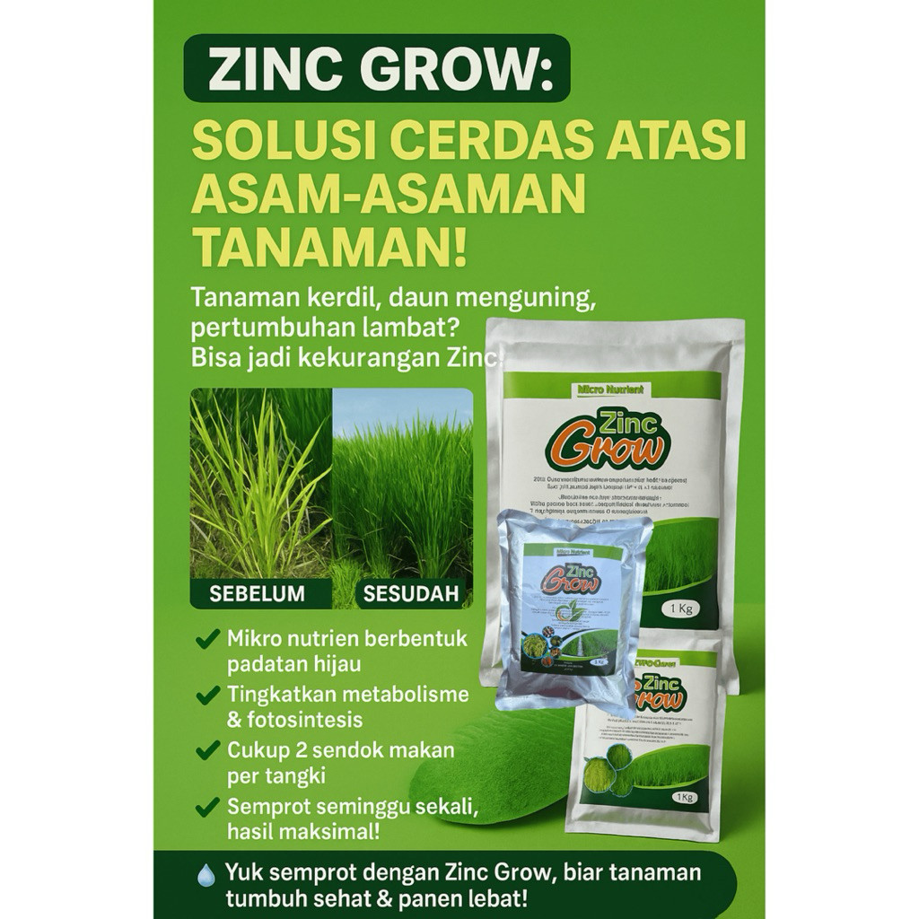 ZN 1KG Obat Padi Zinc Grow Atasi Asem Asemen Padi Merah