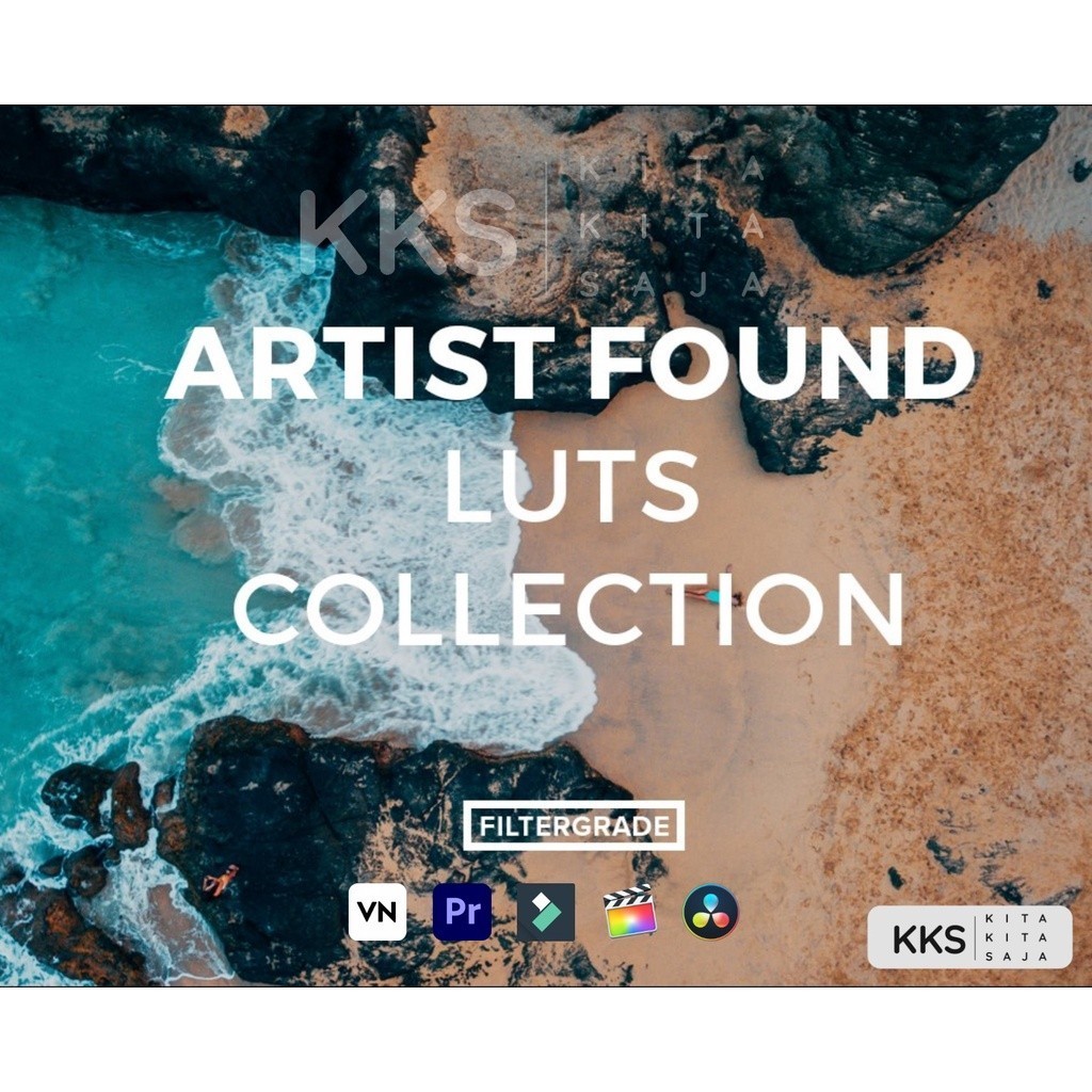 (BISA VN) Artist Found LUTs Collection untuk VN Premiere Pro Davinci Resolve | Android iOS PC