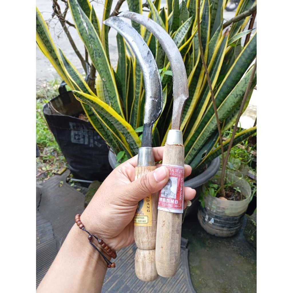 CEK DULU BARU BAYAR promo 2pcs arit padi gergaji baja sedang dan kecil berkualitas tinggi dengan mat