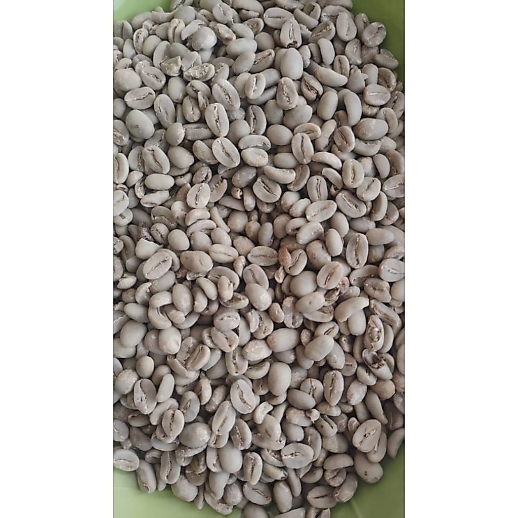 kopi robusta kendan green bean
