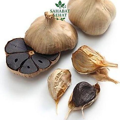 Bawang Putih Hitam Kating 500gr / Black Garlic Kating Fermentasi Bawang Hitam Herbal