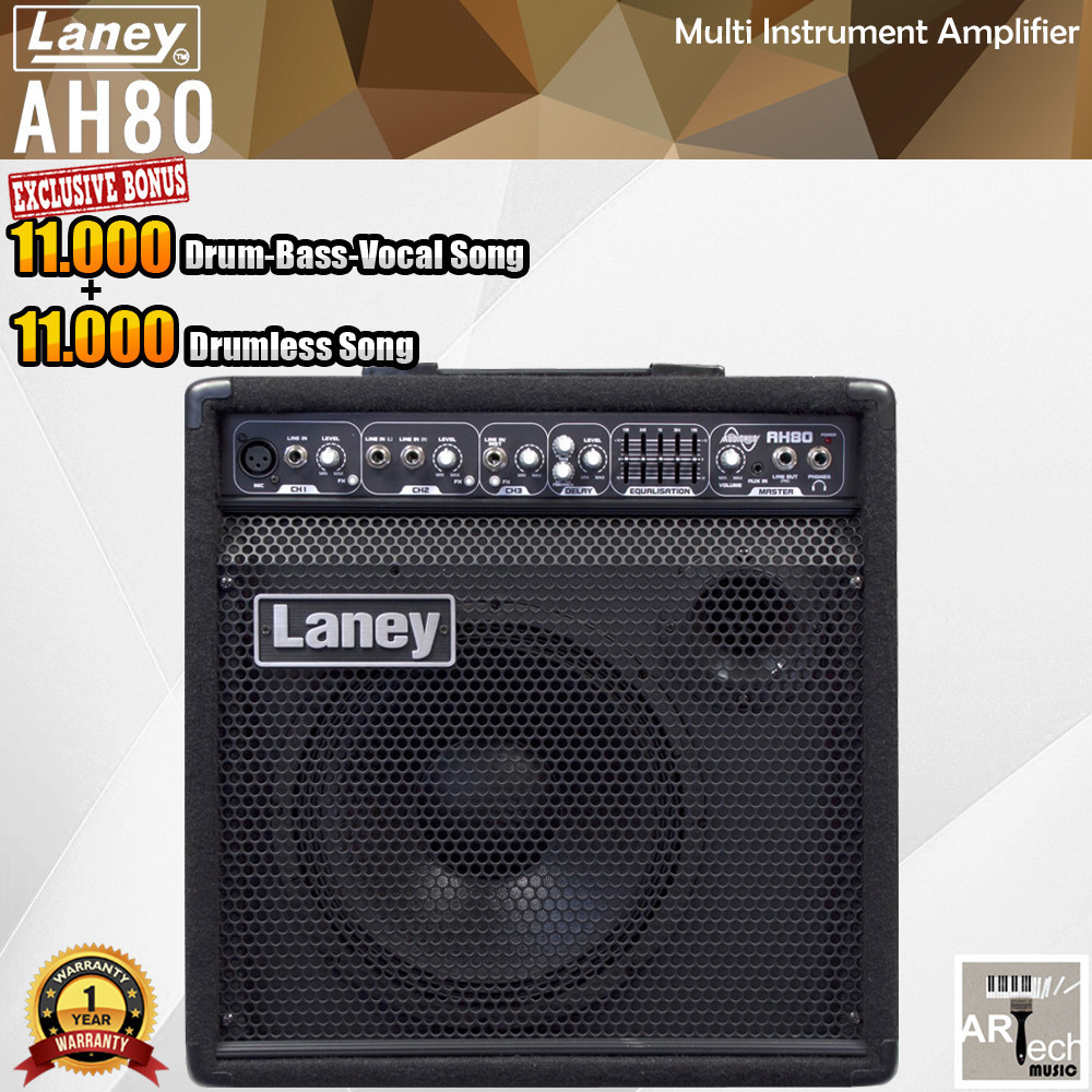 Ampli Laney AH80 Multi Instument Amplifier  AH 80/A H80 Speaker