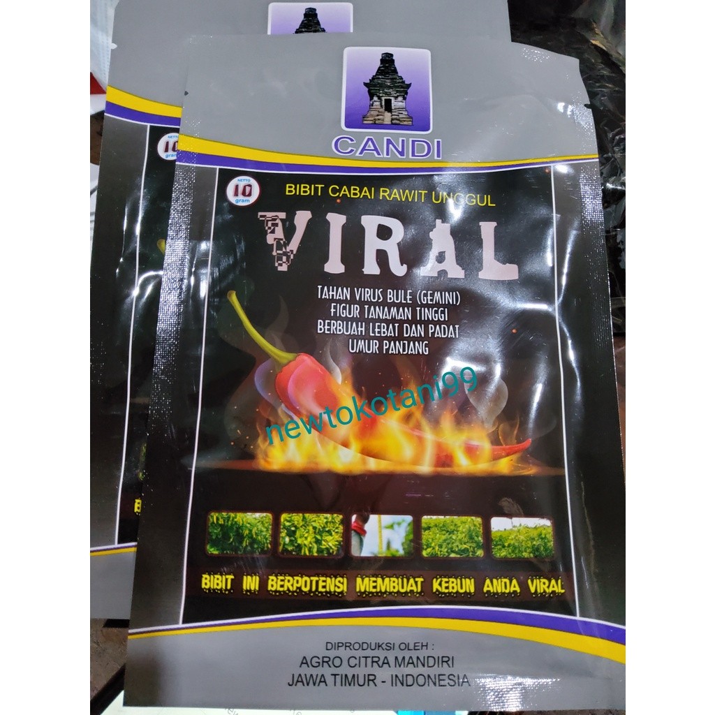 Benih cabe VIRAL 10 gram cabe rawit viral 10gr cap candi tahan penyakit cabe setan super pedas STMJs