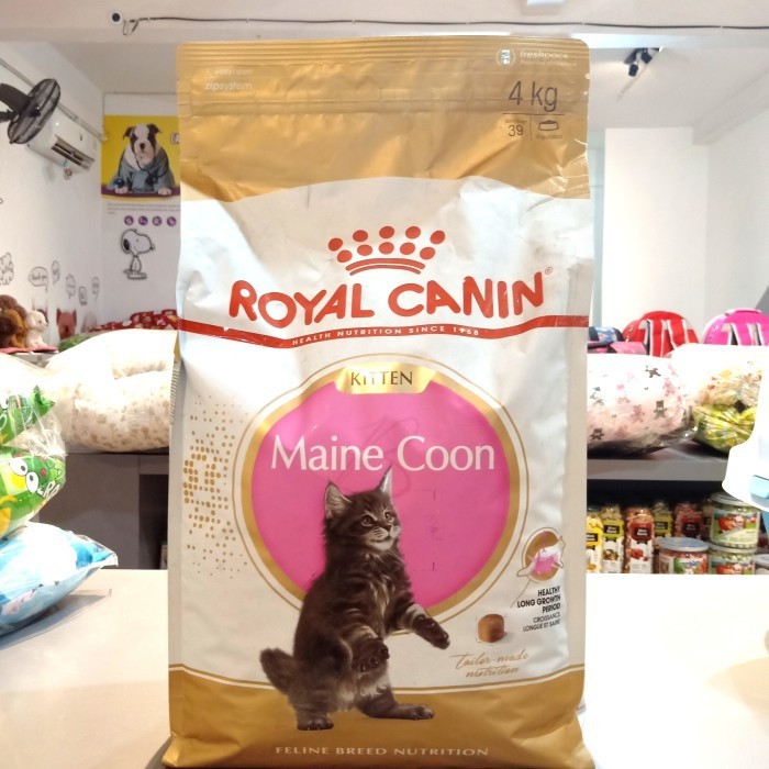 Royal Canin Maincoon Kitten 4kg Makanan Anakan Kucing Ras Mainecoon    BERKUALITAS