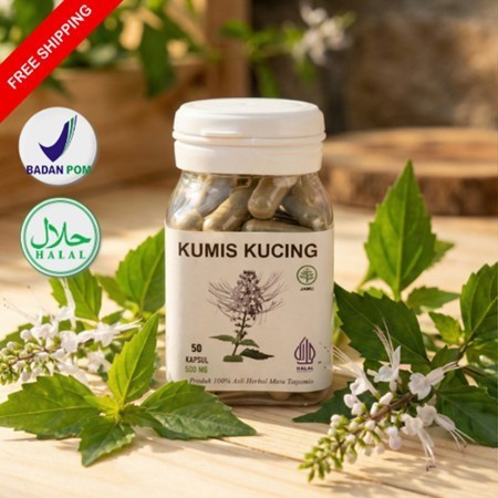 Kapsul Kumis Kucing Original Herbal Isi 50 ( ISK, Ginjal, Asam Urat )