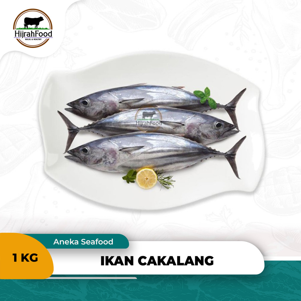

Ikan Cakalang | Skipjack Katsuo Fish Frozen ± 1 kg